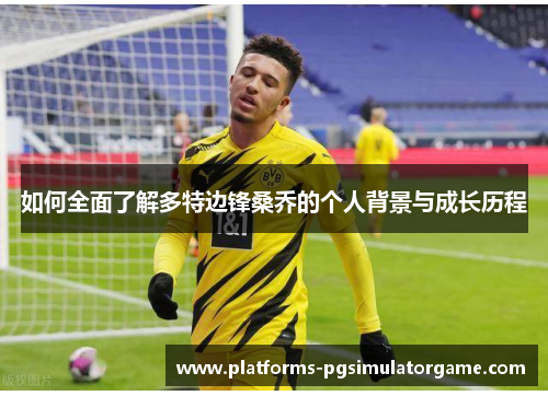 如何全面了解多特边锋桑乔的个人背景与成长历程