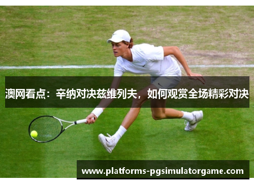 澳网看点：辛纳对决兹维列夫，如何观赏全场精彩对决