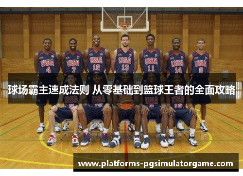 球场霸主速成法则 从零基础到篮球王者的全面攻略 球场霸主速成法则 从零基础到篮球王者的全面攻略