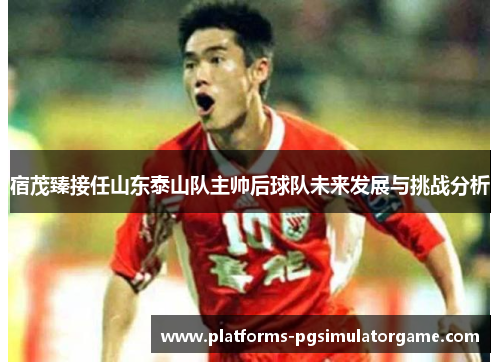 宿茂臻接任山东泰山队主帅后球队未来发展与挑战分析