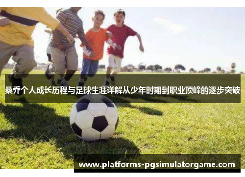 桑乔个人成长历程与足球生涯详解从少年时期到职业顶峰的逐步突破